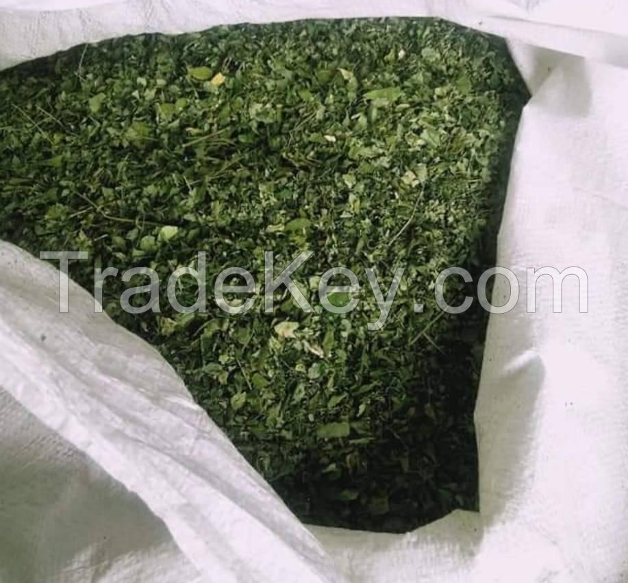 Natural Dried Moringa Powder Ms.Lucy +84 929 397 651