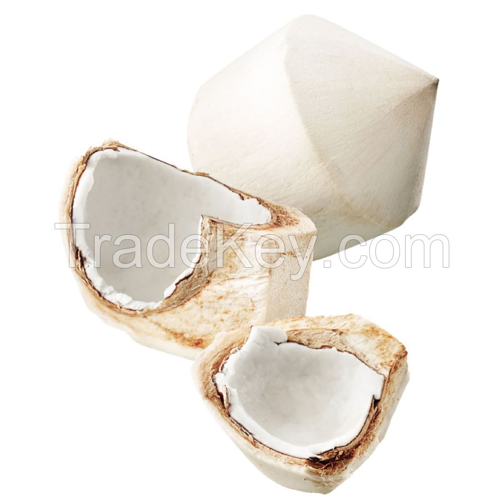 coconut