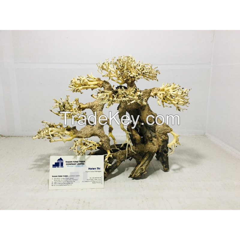 Best selling bonsai driftwood for betta fish tank decoration 