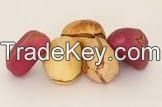 Kolanuts