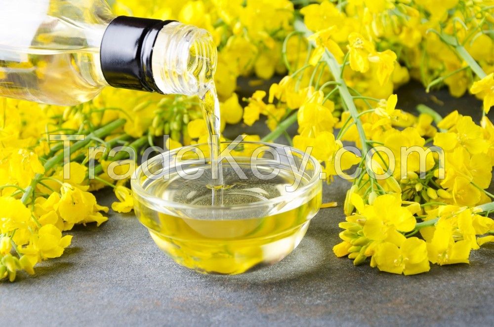 Refined Canola Oil