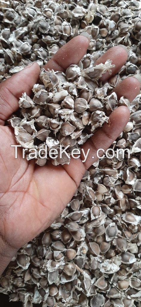 Moringa Seeds and leaves