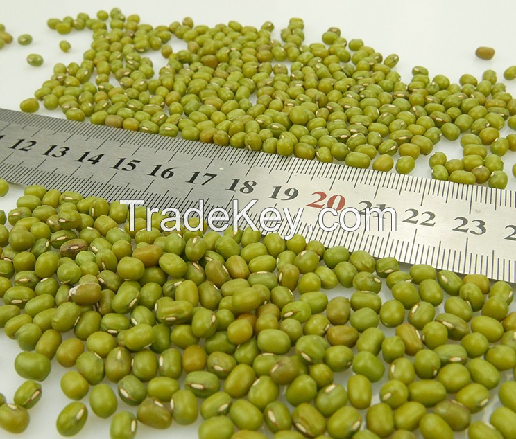 Green Mung Beans