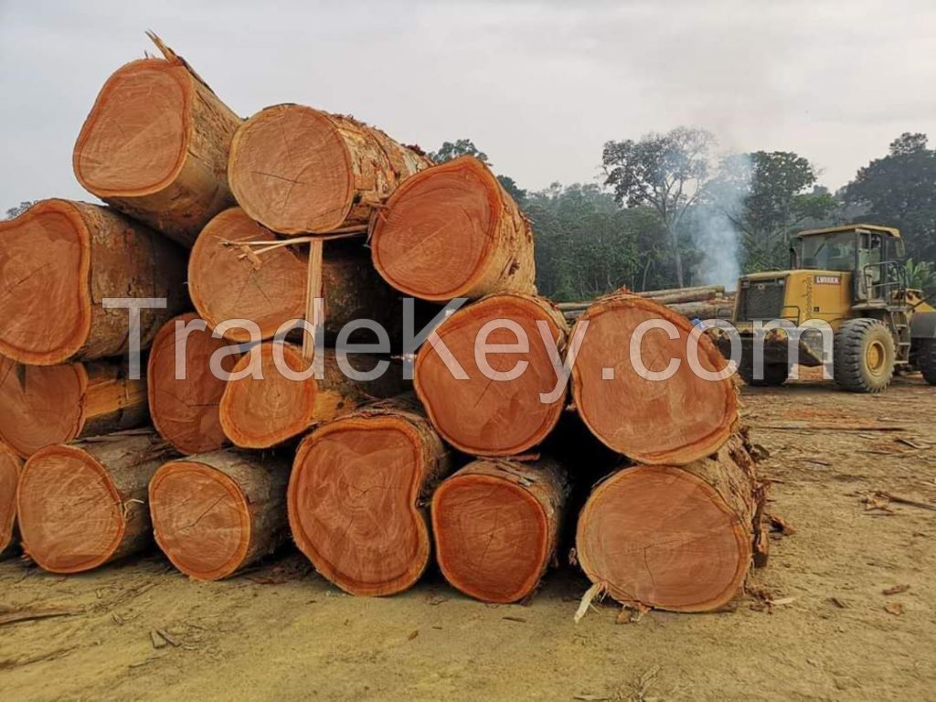 Okoume Timber Wood Logs