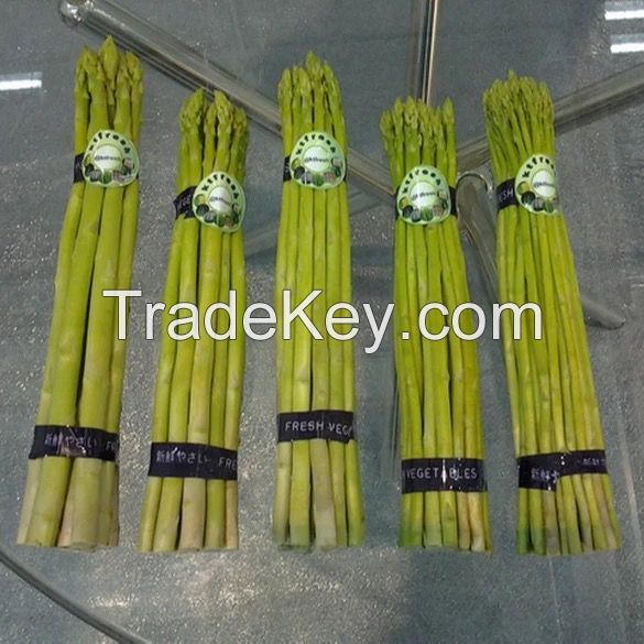 fresh Asparagus