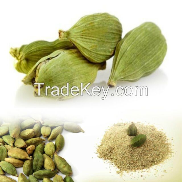 Green cardamom 