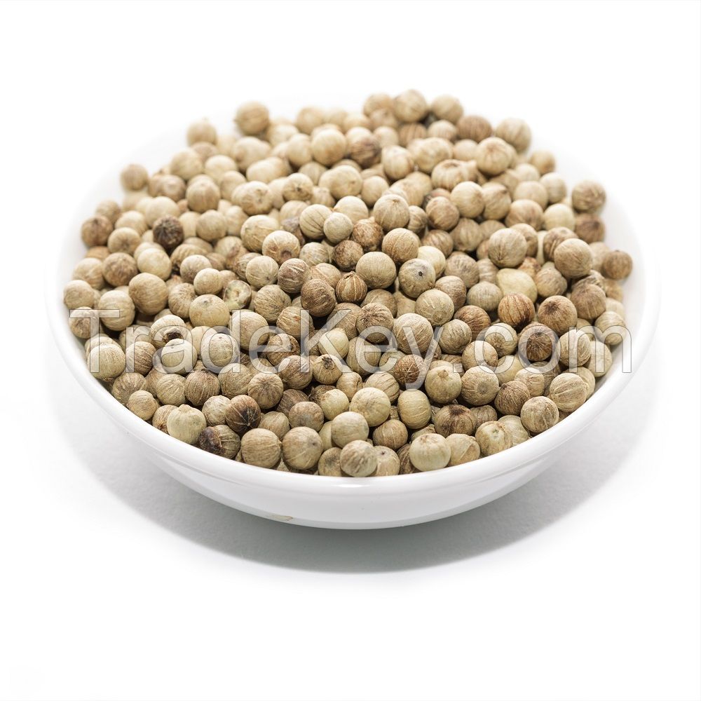 Wholesale white/black pepper best price