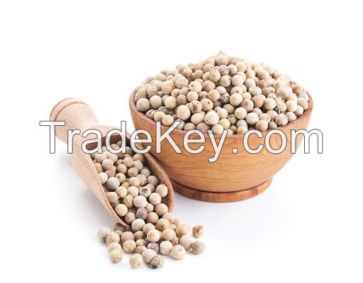 Wholesale white/black pepper best price