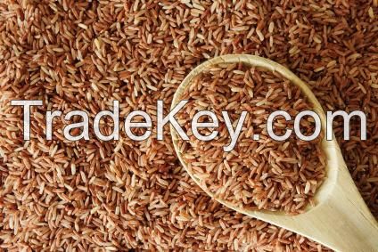 broken Vietnam Jasmine Rice / Long grain white rice