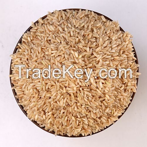 broken Vietnam Jasmine Rice / Long grain white rice