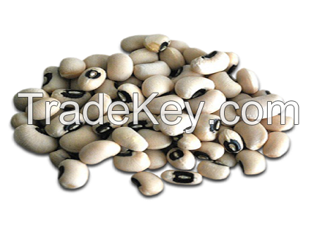 Black-eyed pea