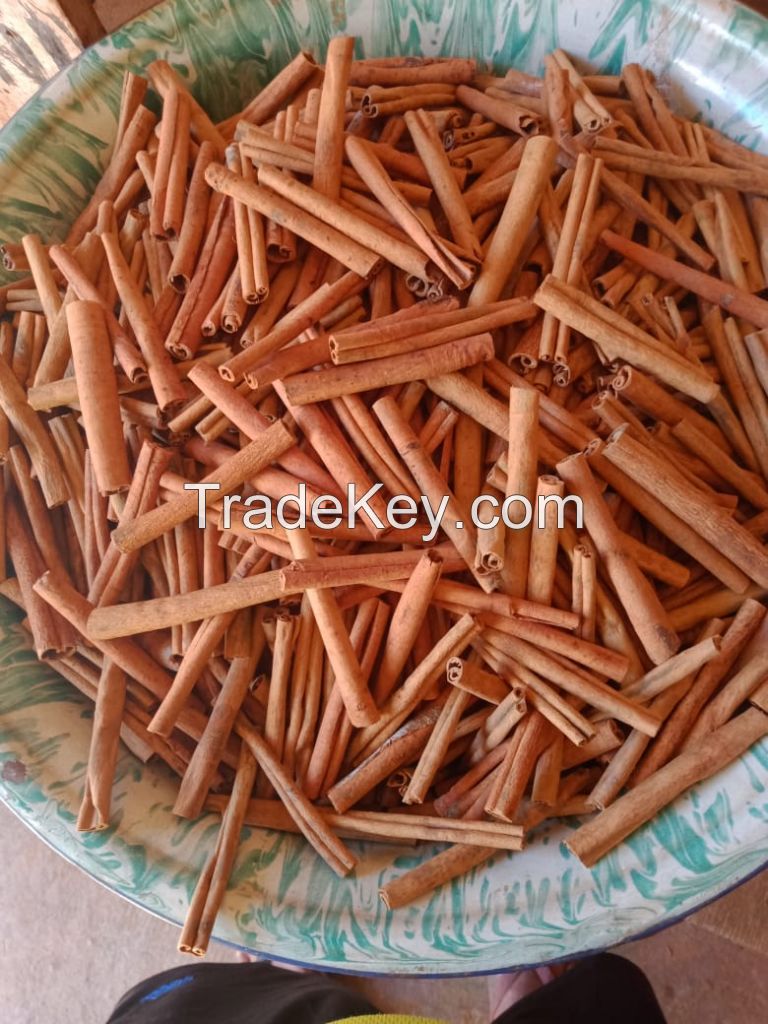 Cinnamon AA Grade Produced in Indonesia