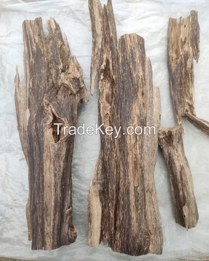 Agarwood oil and wood chips