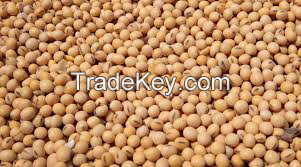 Soybeans