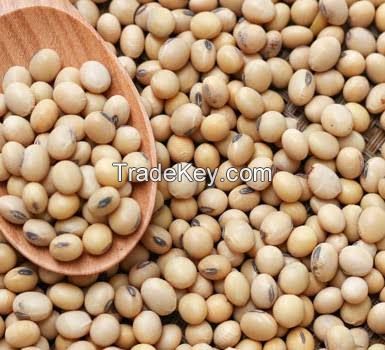 Soya bean