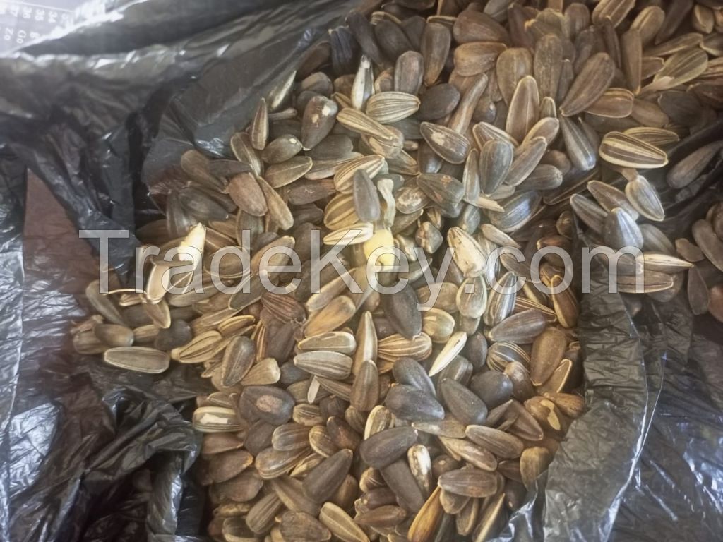 Sunflower Seeds