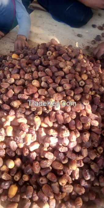 Dried dates &amp; Semi dried dates