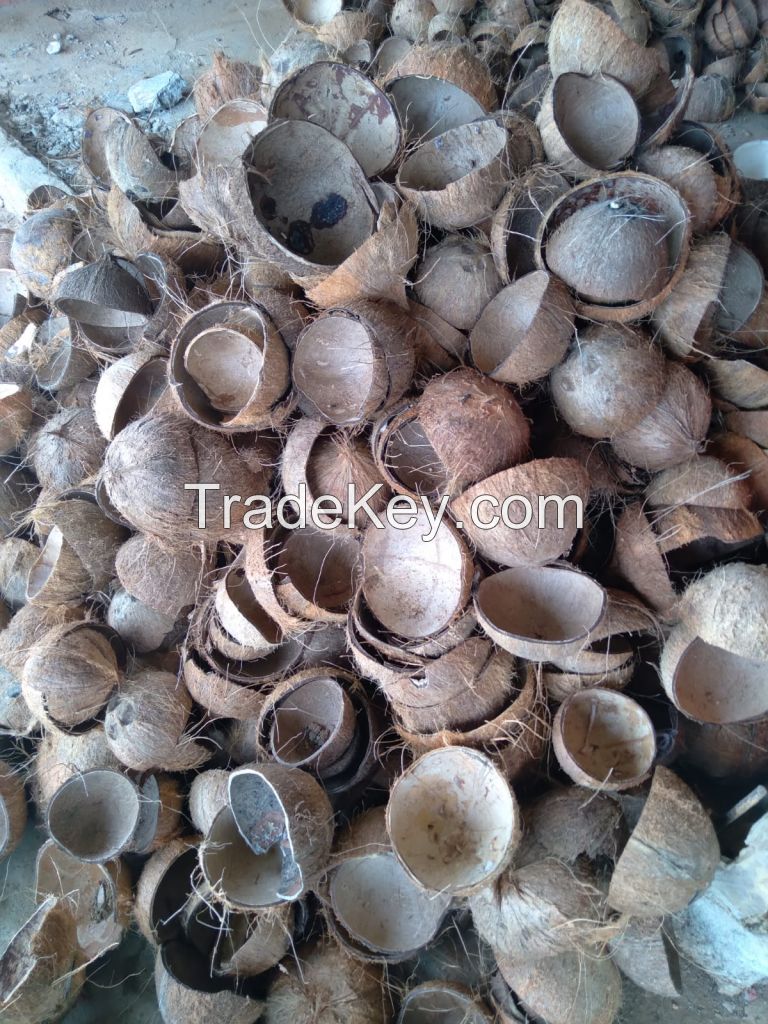 coconut shell