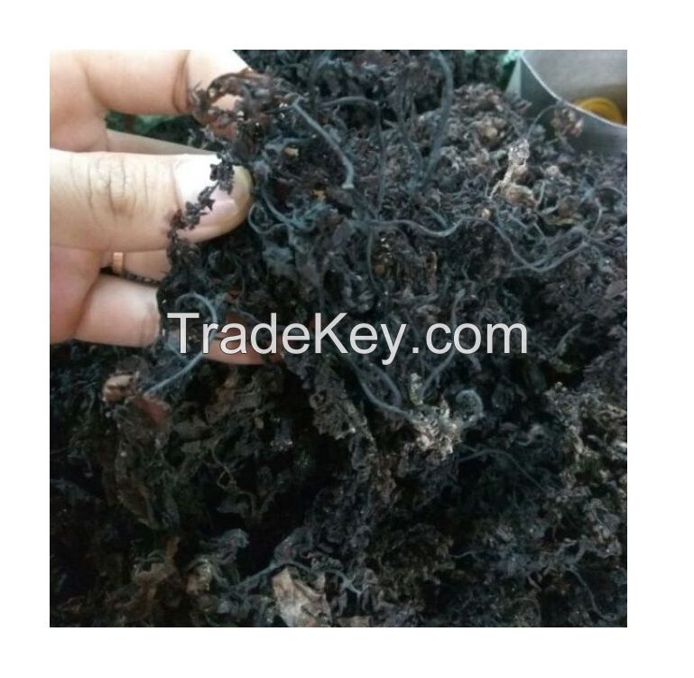 High Quality Seasoned Sargassum Seaweed Wholesale For Sale Made In Vietnam