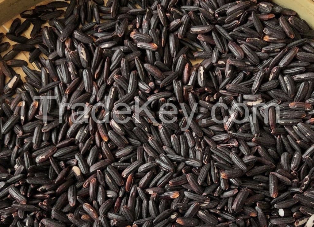 BLACK HEALTHY RICE/ WHATSAPP: +84352310575