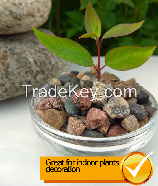 Decorative ground cover