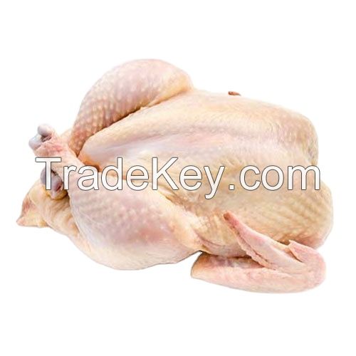 EXPORT GRADE HALAL FROZEN WHOLE CHICKEN CHICKEN FEET CHICKEN PAW