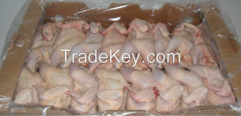 EXPORT GRADE HALAL FROZEN WHOLE CHICKEN CHICKEN FEET CHICKEN PAW