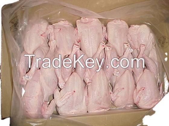 EXPORT GRADE HALAL FROZEN WHOLE CHICKEN CHICKEN FEET CHICKEN PAW