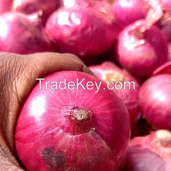 Best Quality Wholesale cheap Price Fresh Red Onion