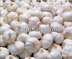 Fresh garlic