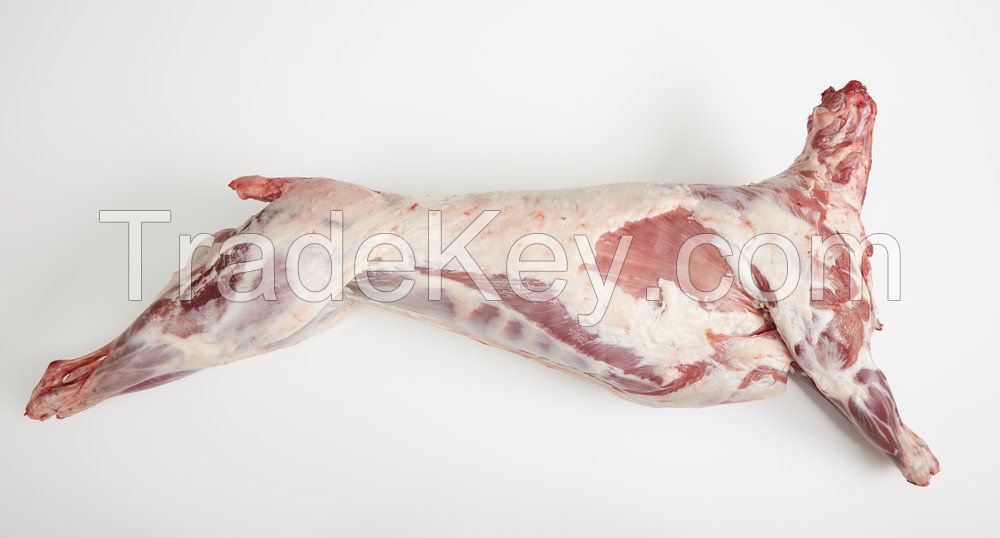 HALAL FROZEN LAMB WHOLE / GOAT MEAT / SHEEP / BONELESS GOAT / MUTTON