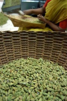 Sell Cardamom, Aleppy Green Cardamom