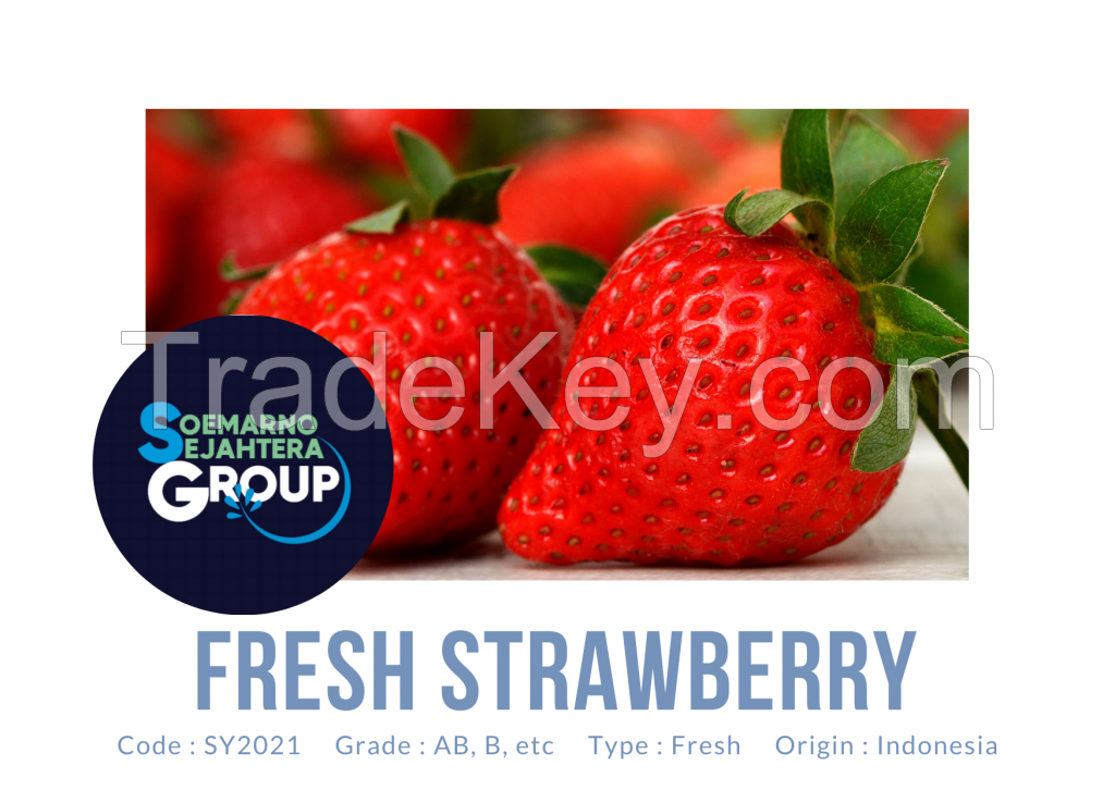 Fresh Strawberry