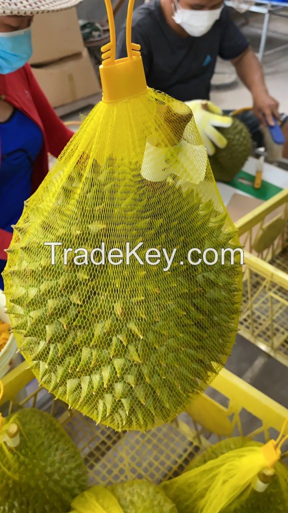 Fresh and Frozen Durian Ri6/Monthong Best Selling Fruit from Vietnam