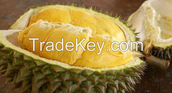 Fresh Durian RI6 Good Quality and Best Price (HuuNghi Fruit)