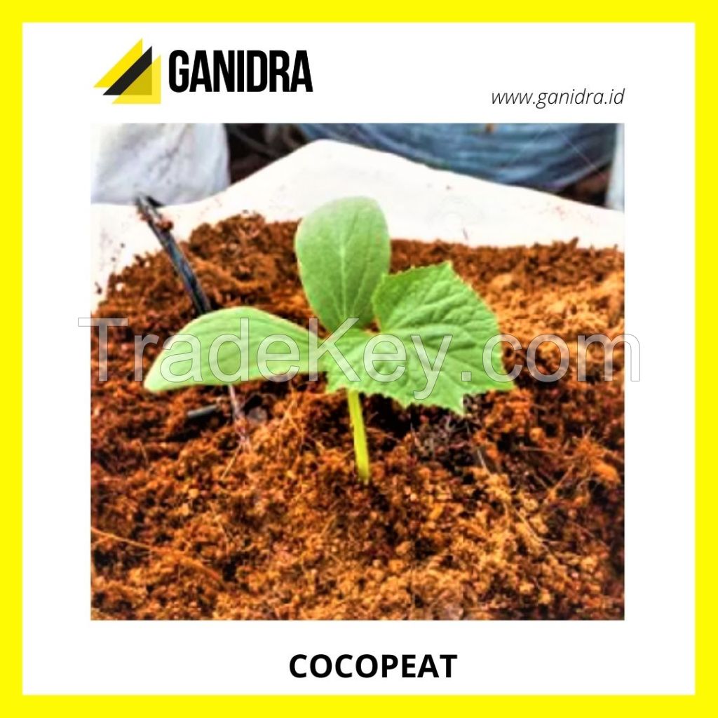 COCOPEAT offer from Indonesia