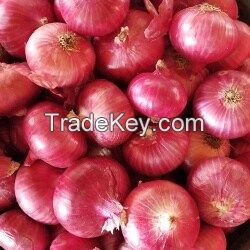 RED ONIONS