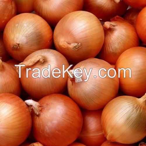 YELLOW/BROWN ONIONS