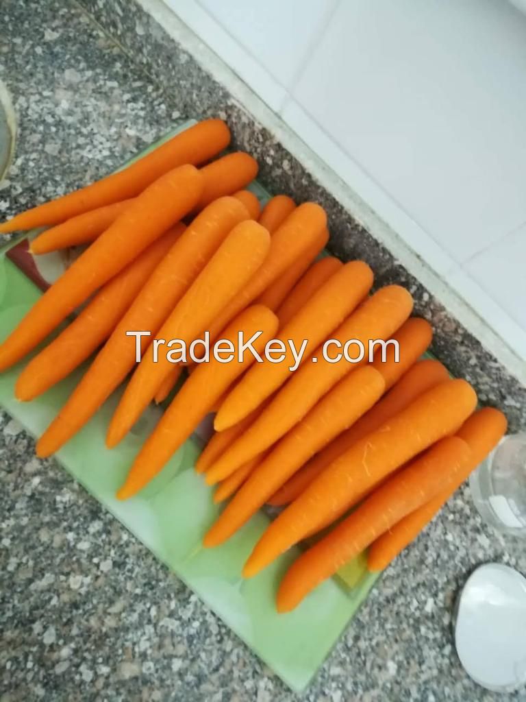 Carrots