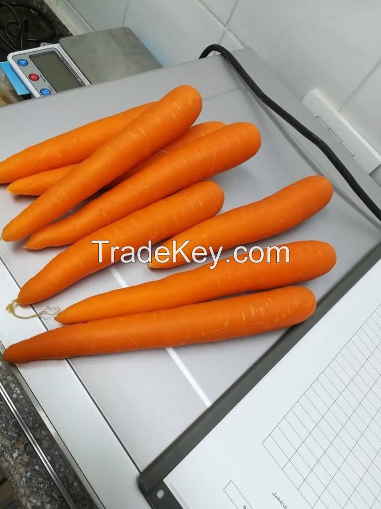 Carrots