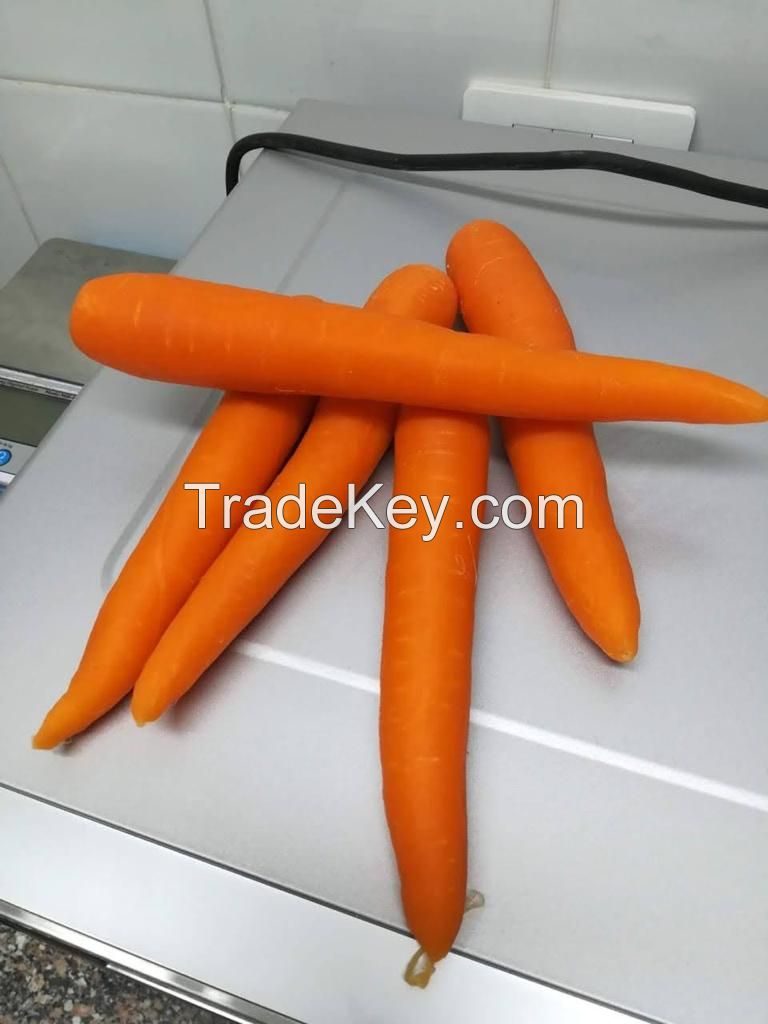 Carrots