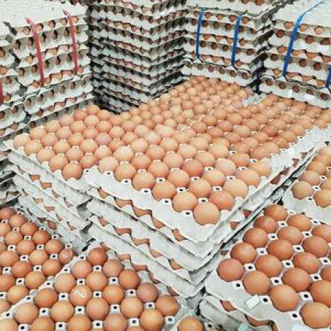 fresh farm eggs