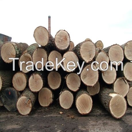 timber logs,