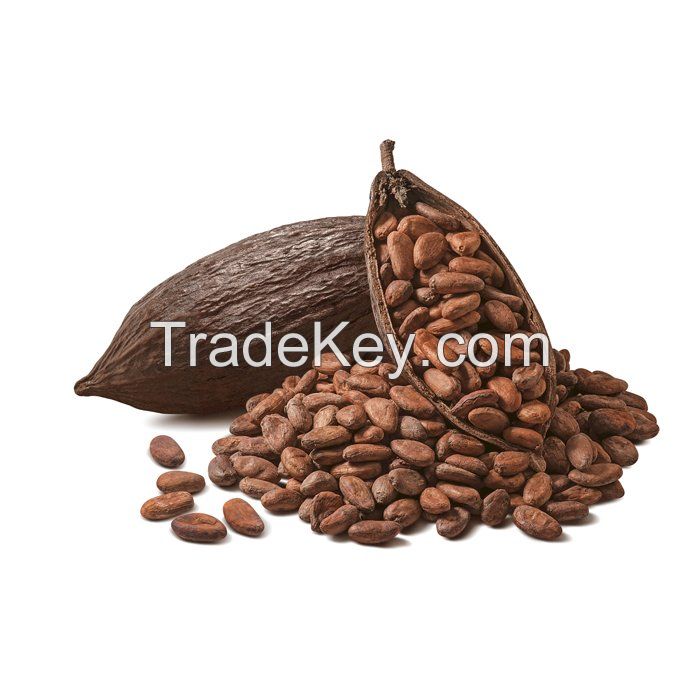 Cocoa Beans