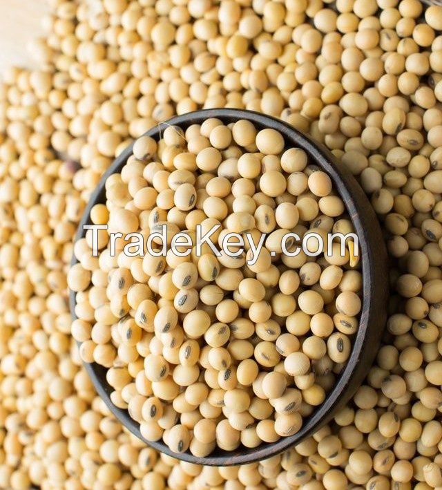 Soybeans