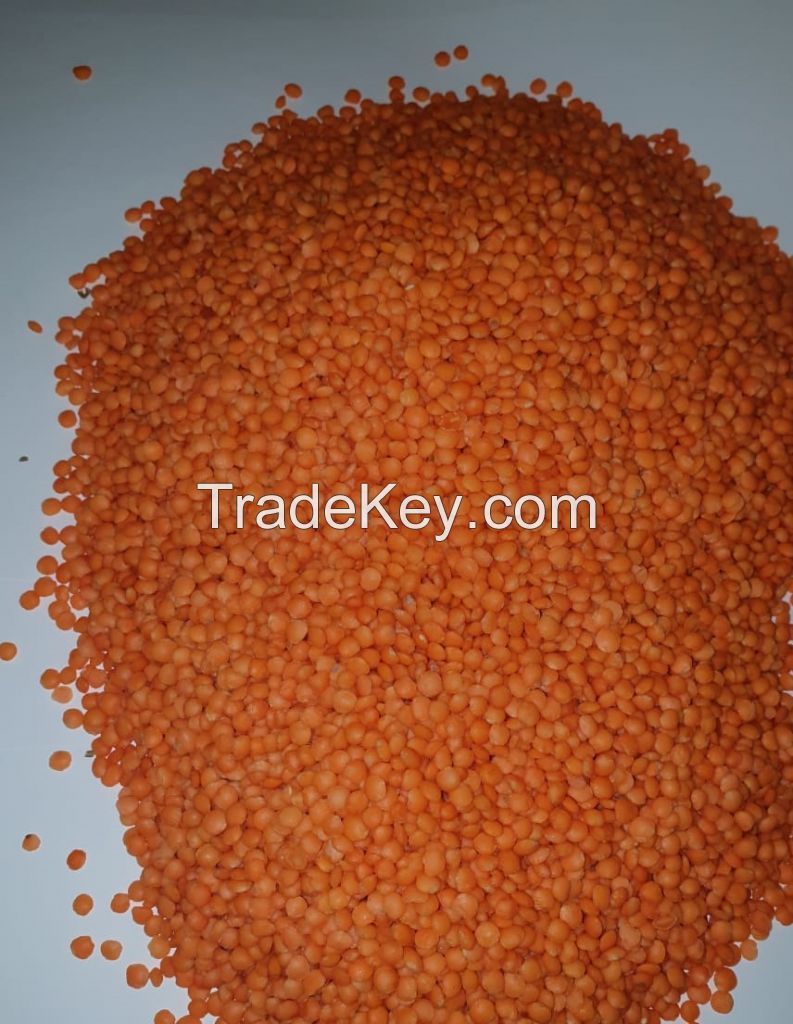 Red Lentils