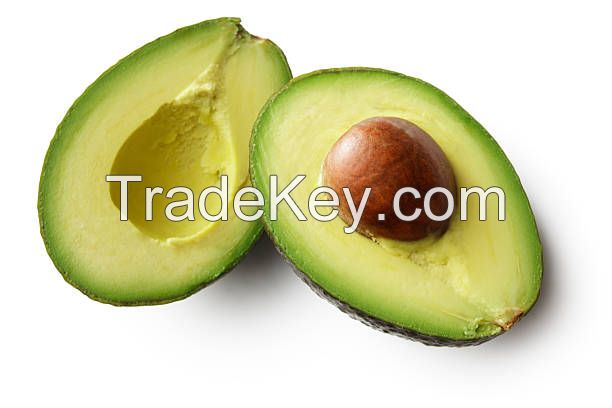 Fresh Hass Avocado From Vietnam- High Quality and Best Price 2022 (HuuNghi Fruit)