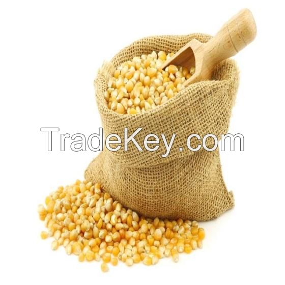 White Corn, Yellow Corn Other Grain