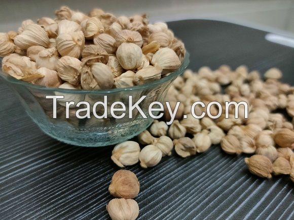 cardamom 