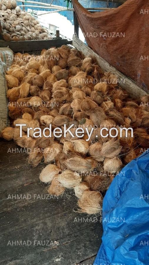 Copra, Dried Coconut